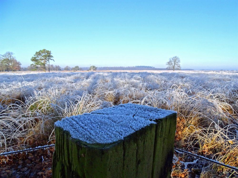 Noordsche veld